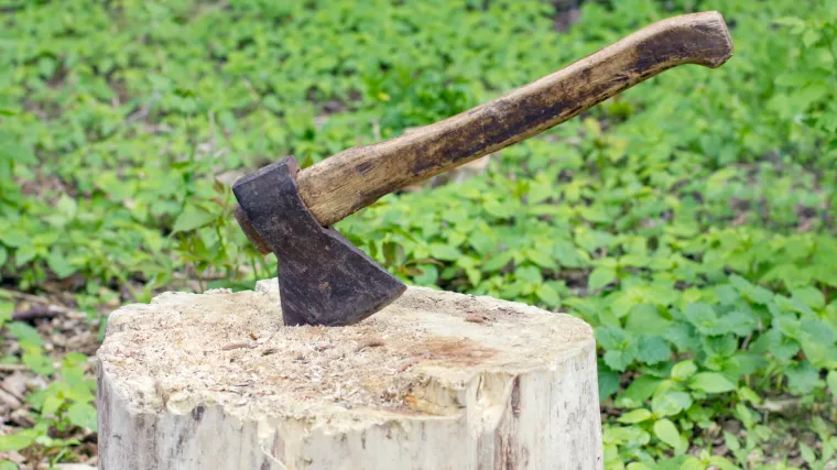 Uhićena žena koja je sjekirom tjerala mu&scaron;karca na seksualni odnos