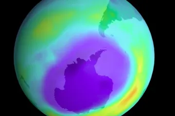 'Stanje je bolje, ali potpuni oporavak očekujemo tek 2050.'