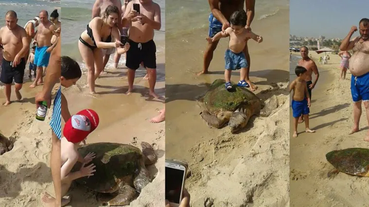 Izvukli rijetku kornjaču ih mora pa je prebili zbog selfija