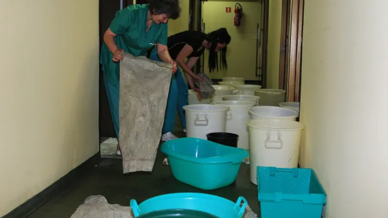 KBC Osijek i dalje treba va&scaron;u pomoć: donirajte i pomozite u saniranju &scaron;tete prouzročene nevremenom