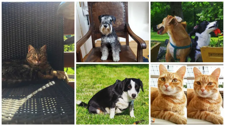 Igra prijestolja nije gotova, ni pod razno; prava borba tek počinje