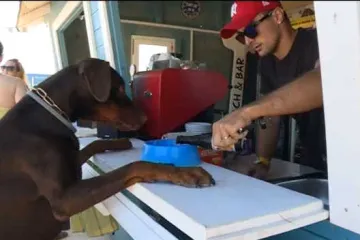 U prvom hrvatskom kafiću za pse, va&scaron; ljubimac može uživati u pivu i čipsu