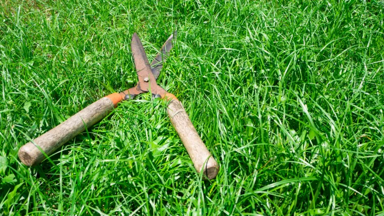 Biv&scaron;i boksač ljubavniku svoje žene odsjekao penis vrtnim &scaron;akarama i bacio ga u WC