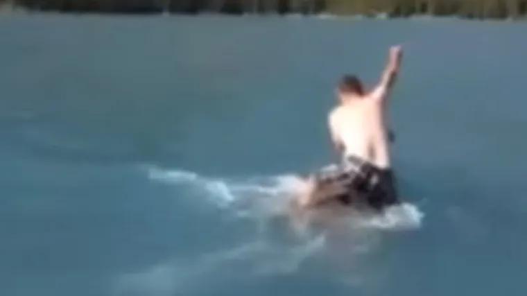 Zajahao losa pa zaradio tužbu zbog zlostavljanja životinja