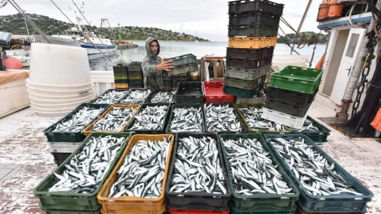 U svijetu se jede najvi&scaron;e ribe dosad, čak 20 kilograma po glavi