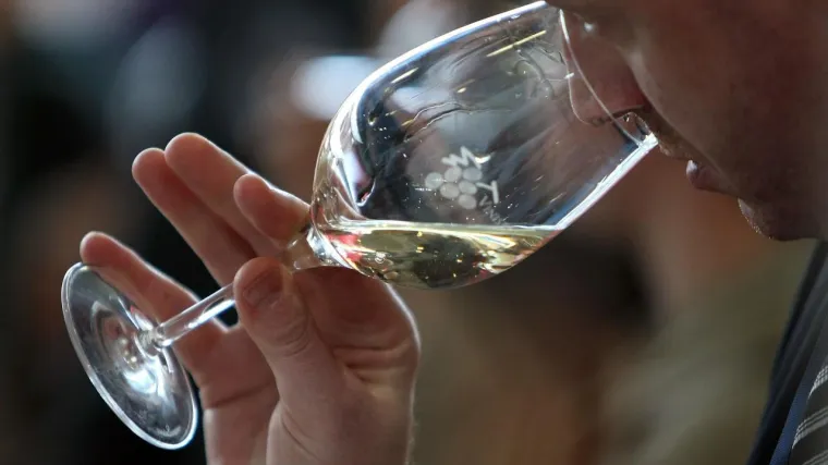 Znanstvenici shvatili kako proizvesti bezgranične količine vina!