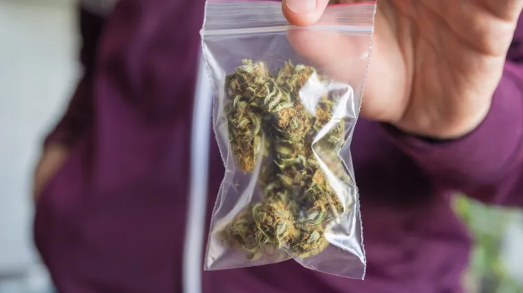 Može li kanabis izliječiti Alzhaimera?