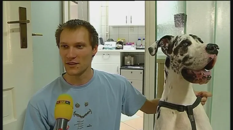 Upoznajte Scoobyja iz Osijeka - četveronožnog dobrovoljnog davatelja krvi!