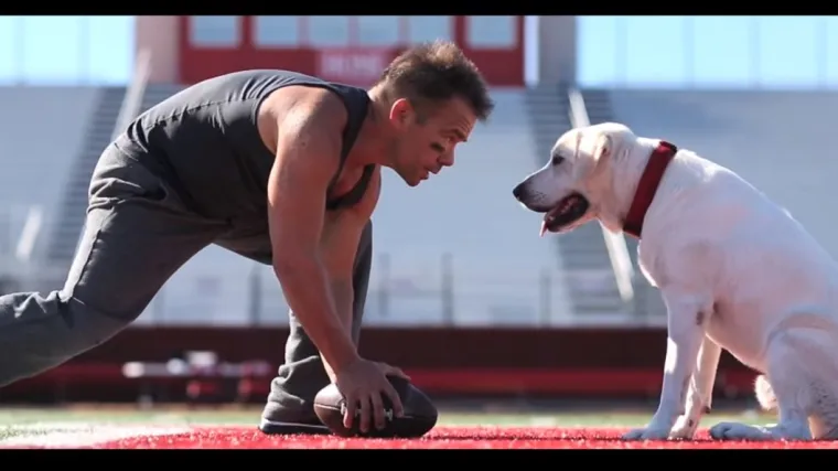 Predivan film prikazuje kako izgleda život iz pseće perspektive