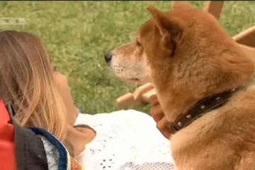 Provjerili smo kampersku ponudu kontinentalne Hrvatske: jedan nas je kamp potpuno oborio s nogu