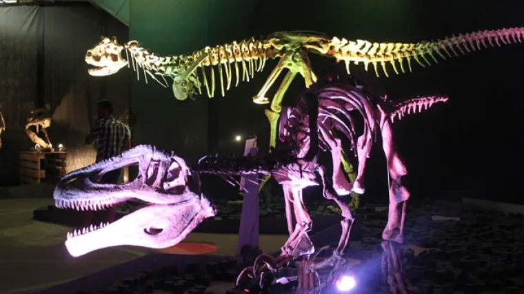 U Rijeci otvorena spektakularna izložba Divovi Patagonije!