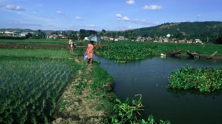 Otkriven skriveni otok s jedinstvenim vrstama životinja kojih nema nigdje drugdje na svijetu