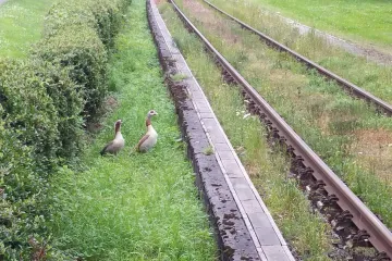 Blokirali autocestu i željeznički promet da bi na sigurno otpratili ovu obitelj