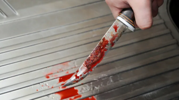 Marokanac nožem izbo majku i njezine tri kćeri u parku u Francuskoj!