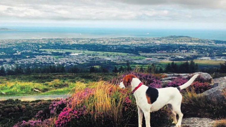Monika Harmonika istražuje Irsku, evo &scaron;to joj se sviđa