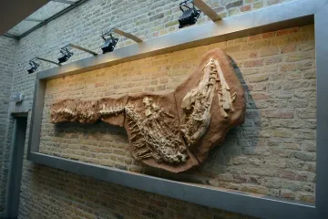 Za samo 7.600 kuna možete kupiti fosil dinosaura