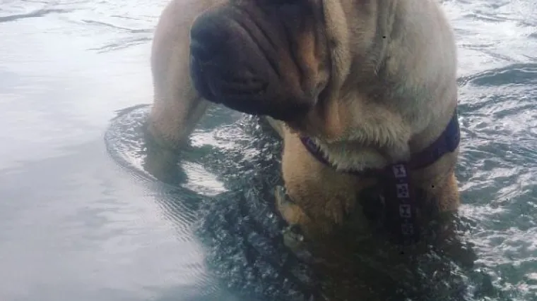 Putovanje do mora možda nije pro&scaron;lo najbolje, ali isplatilo se...