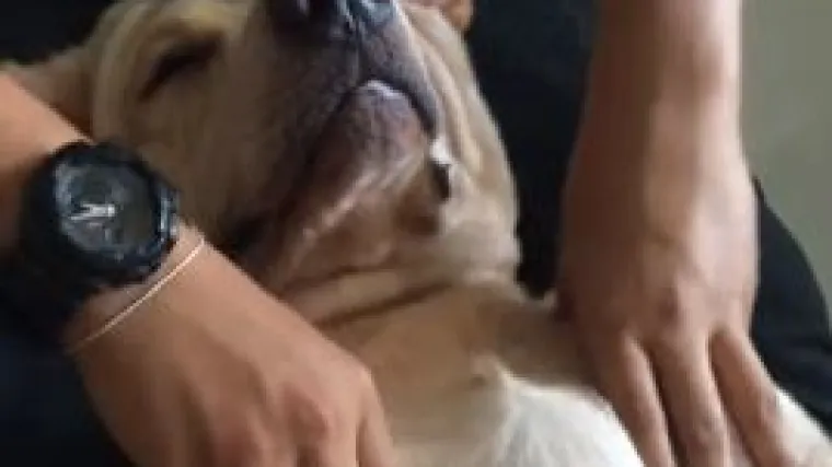 Pogledajte kako ova dvogodi&scaron;nja nju&scaron;ka uživa u masaži!