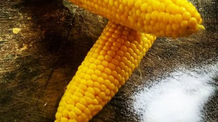 Ljeti ne treba previ&scaron;e komplicirati, kad je slasan zalogaj već tu