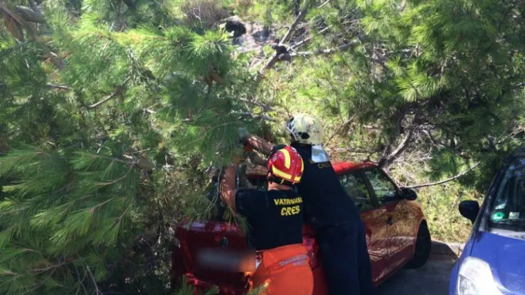 Priča o Zagrepčaninu kojem je stablo uni&scaron;tilo auto dobila nastavak: umjesto od&scaron;tete zaradio tužbu