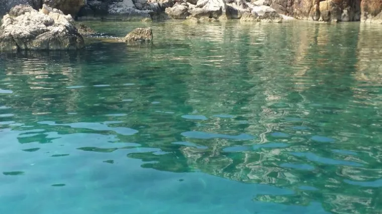 Sve dok se čovjek ne mije&scaron;a, priroda će pronaći put i uvijek iznova zadiviti