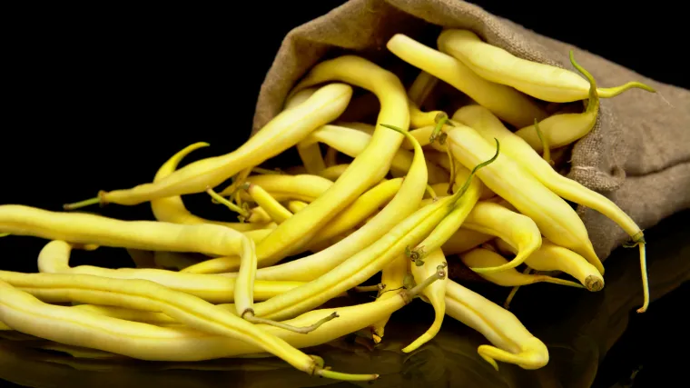 Tijelo će vam biti zahvalno: zamijenite životinjske proteine biljnima i izbjegnite bolesti