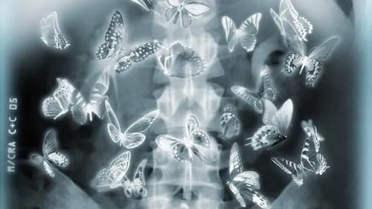 Kako nastaju 'leptirići u trbuhu' i koliko nam je vremena potrebno da se zaljubimo?