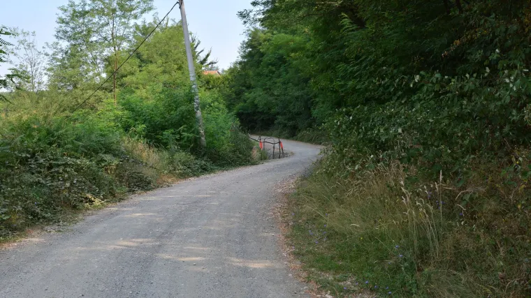 Biv&scaron;i borci ISIL-a pucali pa pobjegli u &scaron;umu kod Maglaja: policija jednog uhitila, za drugim jo&scaron; traga