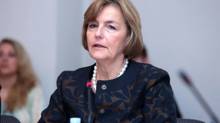 Oglasila se Pusić: 'Konkurencija se očito jako boji HNS-a, ne prezaju pred lažima'