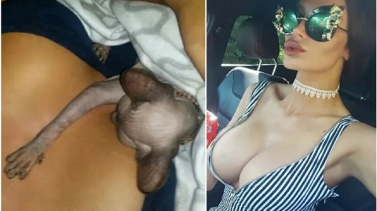 Srpska starleta pokazala bujni dekolte i novog kućnog ljubimca