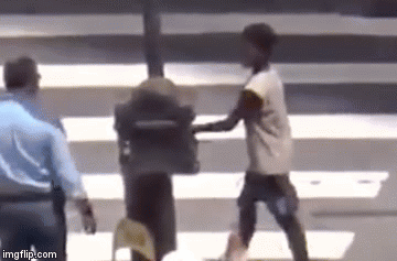 Nevjerojatna bahatost, uopće ih nije strah!