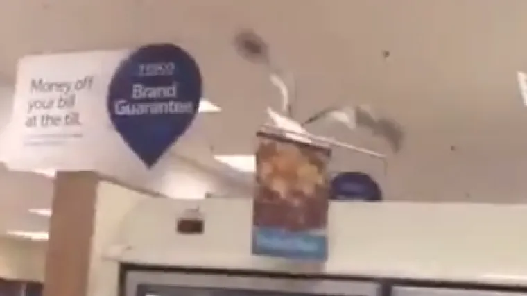 Kao nastavak Hitchcockova horora: kupci evakuirani iz dućana zbog bijesnog galeba