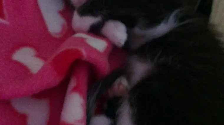 Ova maza bi se trebala stvoriti odmah pored vas