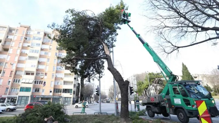 Vatrogascima pune ruke posla: jaka bura divljala Dalmacijom i lomila stabla po Splitu