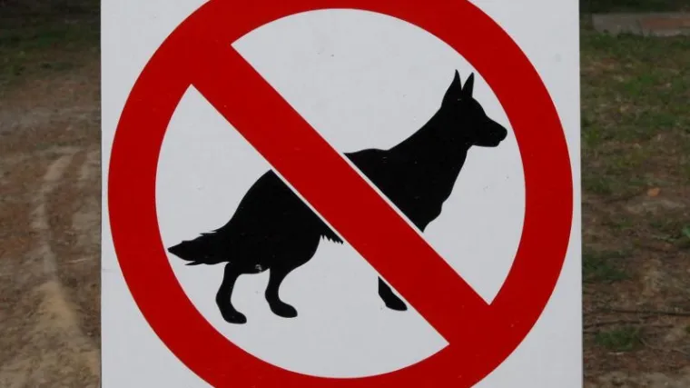 U ovom je hrvatskom gradu zabranjeno dovođenje pasa na javne povr&scaron;ine!