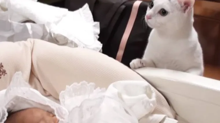 Najslađi video koji ćete vidjeti danas: Evo kako zbunjena maca reagira kad u kuću dođe beba
