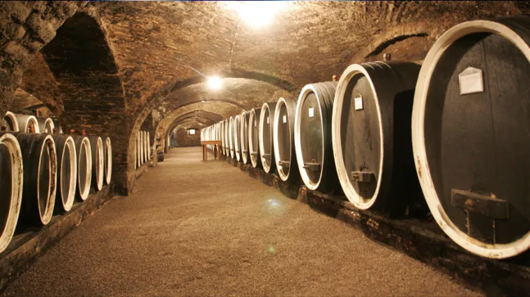 Vinotel - hotel koji sve bazira na vinu: istražili smo kako su hrvatski vinari uspje&scaron;no spojili poljoprivredu i turizam