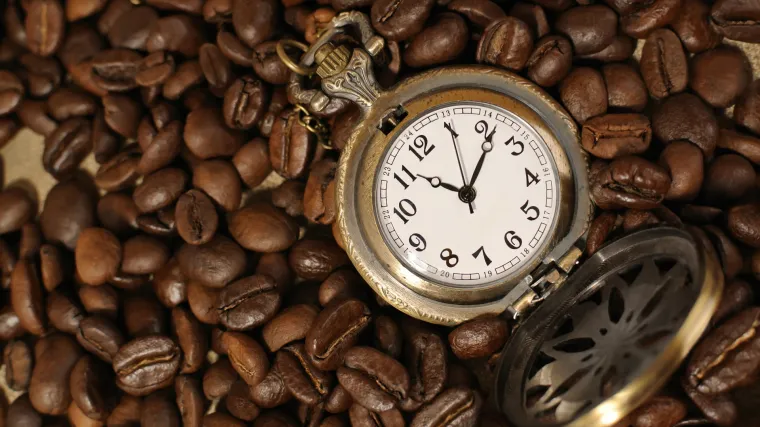 Nestaje kava: zbog klimatskih promjena sve manje područja za uzgoj kavovca