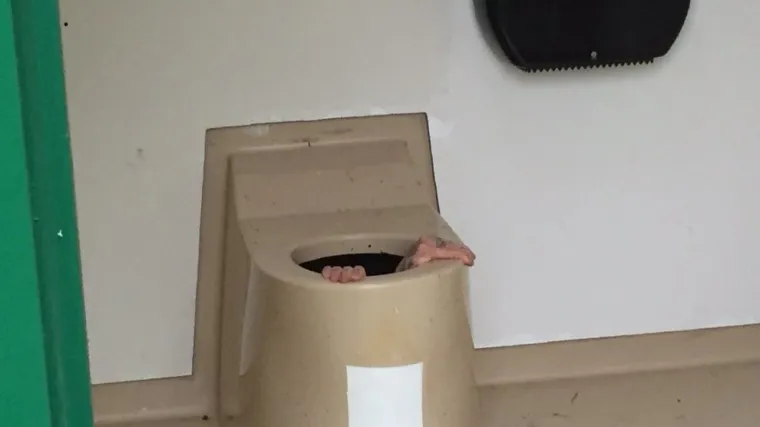 Pravo prijateljstvo ipak postoji: zbog prijatelja zaglavio u prepunoj sepričkoj jami