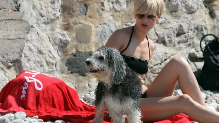 Istraživanje otkrilo da psi doista razumiju ljudski govor!