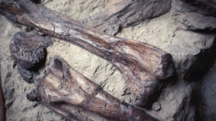 Na mjestu nekada&scaron;njeg nacističkog laboratorija pronađene ljudske kosti