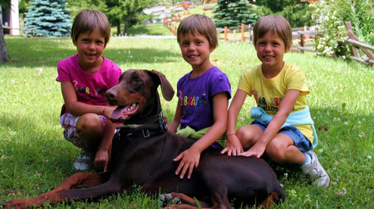 Jednog skrij, drugog pokaži: Deset neobičnih činjenica o blizancima