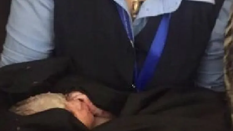 Dječačić rođen u avionu: libijska aviokompanija svom najmlađem putniku dala doživotno besplatne letove