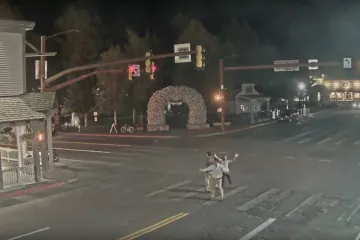 Već danima pola interneta prati ovaj stream, nikome nije jasno zašto