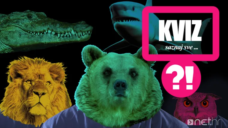 Rije&scaron;ite test i saznajte koja je va&scaron;a životinjska inteligencija