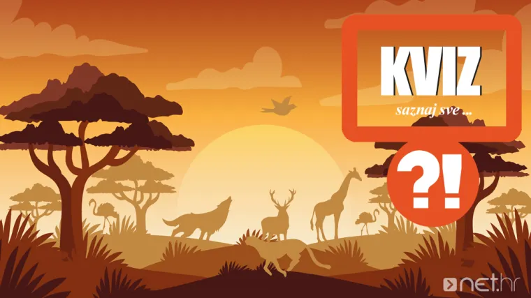 Možete li pronaći devet životinja skrivenih u njihovom prirodnom staništu?