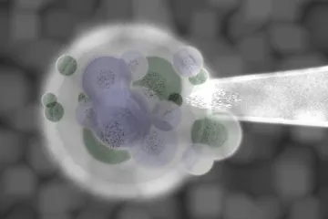 Revolucionarni eksperiment znanstvenika prkosi prirodi, omogućit će dvojici muškaraca da imaju dijete