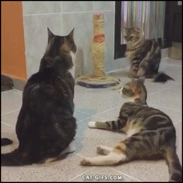 Ono kad odzvoni za kraj nastave