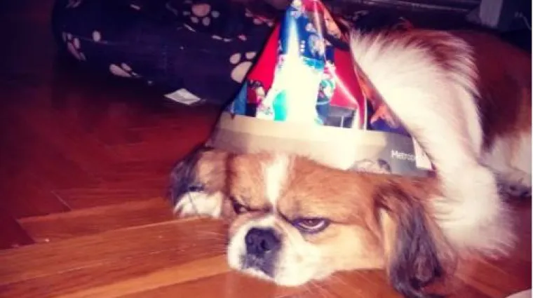 Ovako izgleda kada se slavljeniku ba&scaron; i ne sviđa iznenadna proslava