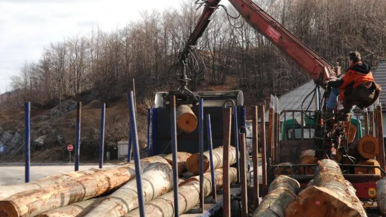 AVI HRVATSKIH &Scaron;UMA? A, na radnicima i dalje &scaron;tede, zlostavljaju ih i prijete im otkazima!
